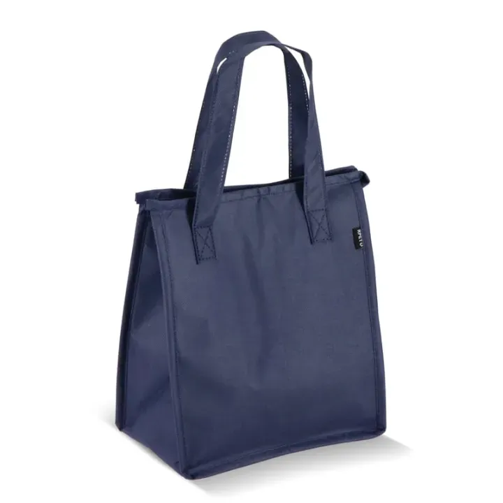 R-PET Cooler bag non-woven 23x 15 x 27.5cm 75g/m² - LT95392 (N0010)
